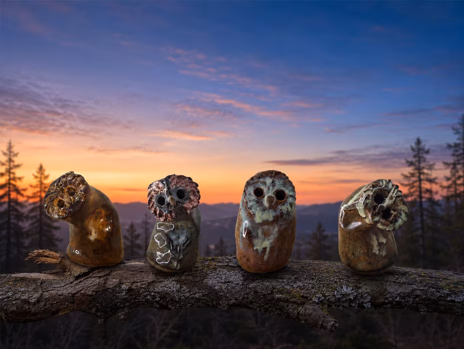 Owlets
