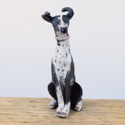 Trixie Custom Dog
